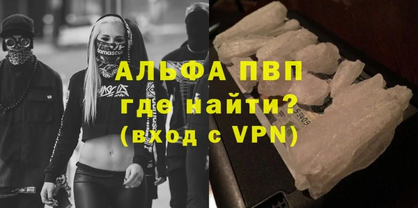 дмт Нея