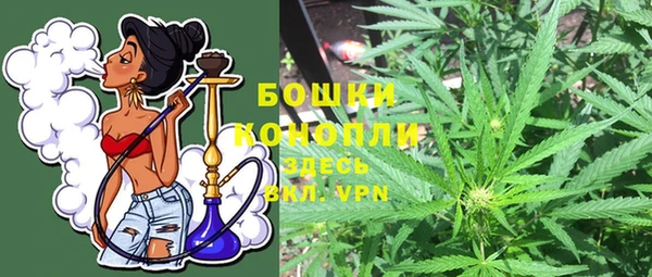 ГАЛЛЮЦИНОГЕННЫЕ ГРИБЫ Нефтегорск