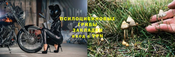 ГАЛЛЮЦИНОГЕННЫЕ ГРИБЫ Нефтегорск
