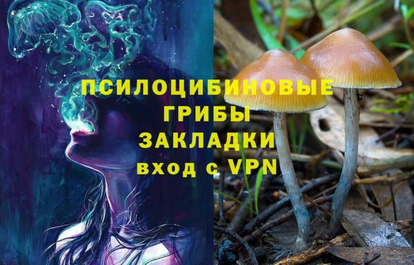 ГАЛЛЮЦИНОГЕННЫЕ ГРИБЫ Нефтегорск