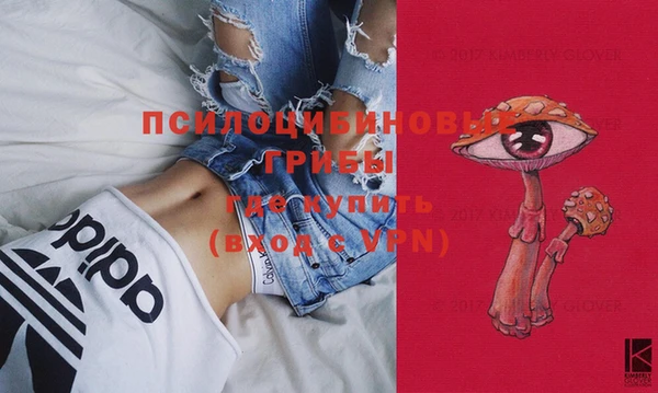 дмт Нея