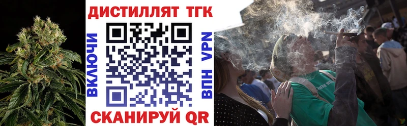 где найти   Тавда  ТГК концентрат 