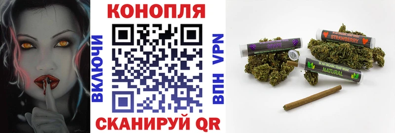 Марихуана план Тавда